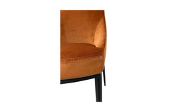 Sora Dining Chair - SET OF 2