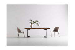 Draper Dining Chair - SET OF 2
