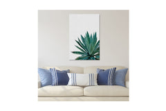 AGAVE CACTUS by Orara Studios