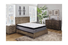 The Reflections Plush Mattress from Apt2B TWIN