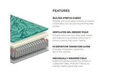 The Reflections Plush Mattress from Apt2B TWIN