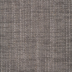 Nomad Slate Grey Fabric Swatch