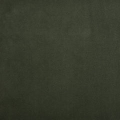 Dark Green Sage Velvet Fabric Swatch
