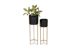 Monstera Planter Set