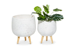 Washington Planter Set