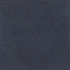 Indigo Leather