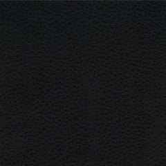 Raven Leather