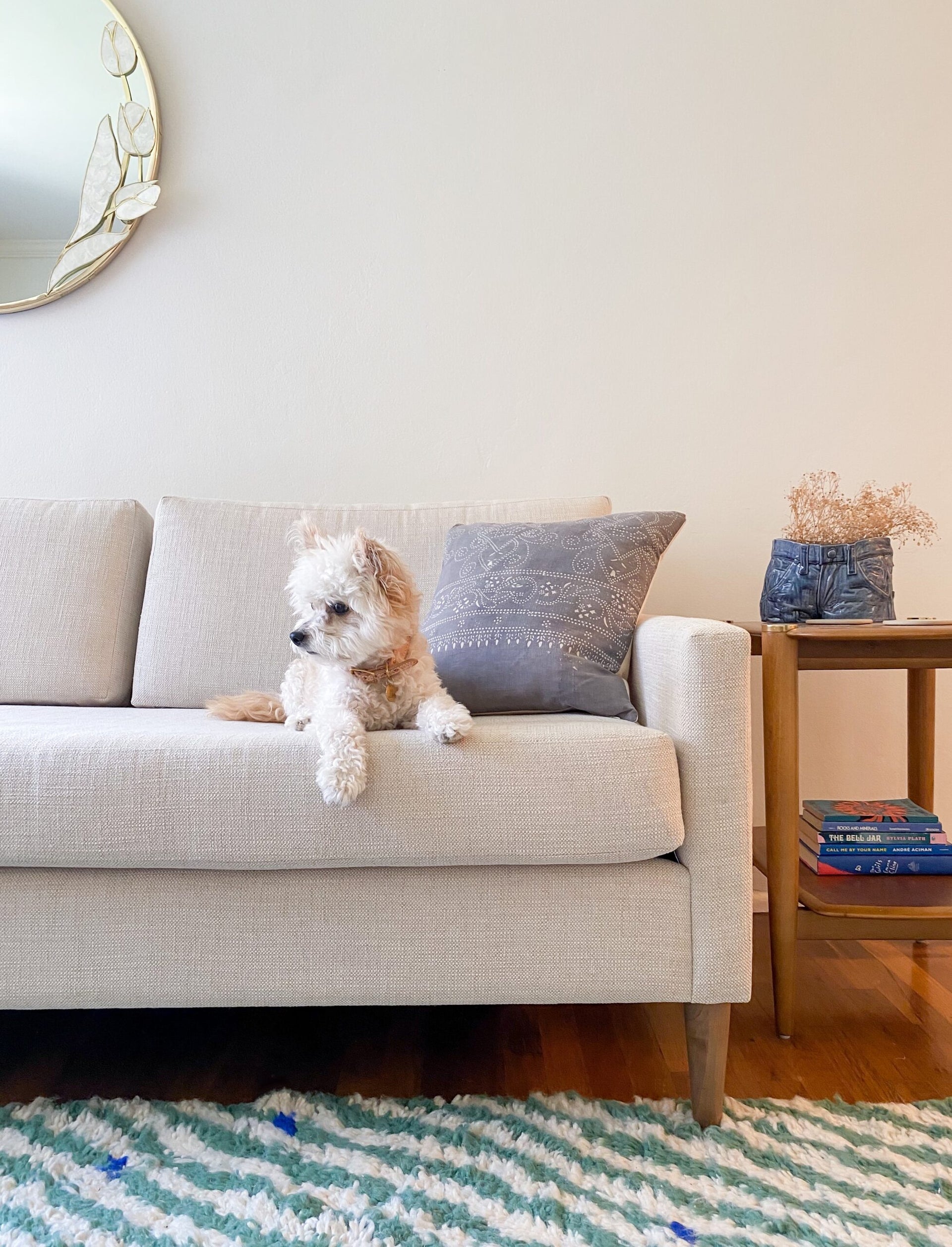 Couches for dog owners cheap