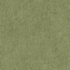Meadow