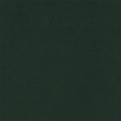 Spruce