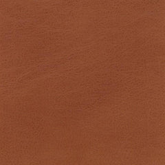 Camel Leather