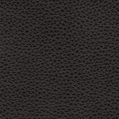 Graphite Leather