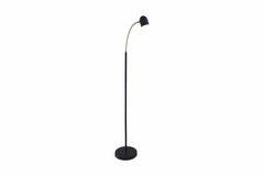 Watts Floor Lamp